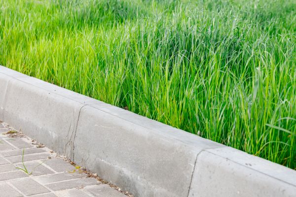 Cost of Concrete Curb Repair in Tallahassee