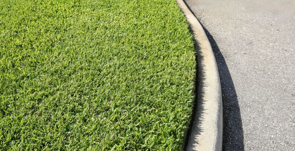 Driveway Curb Repair in Tallahassee