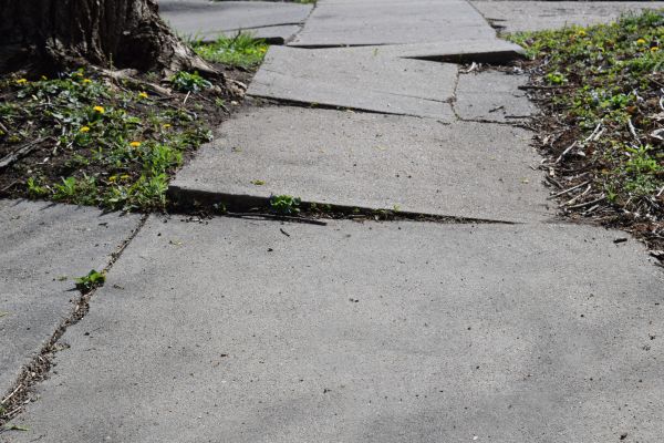 Cost of Trip Hazard Removal in Tallahassee